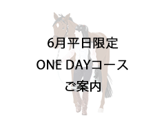 【受付終了】ONE DAY１日２回コース（６月平日限定）5/20まで受付中