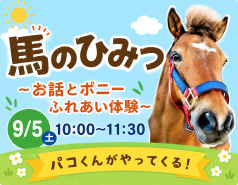【9月5日開催】馬のひみつ ～お話とポニーふれあい体験～