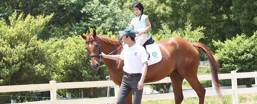 海岸公園馬術場が再開します！