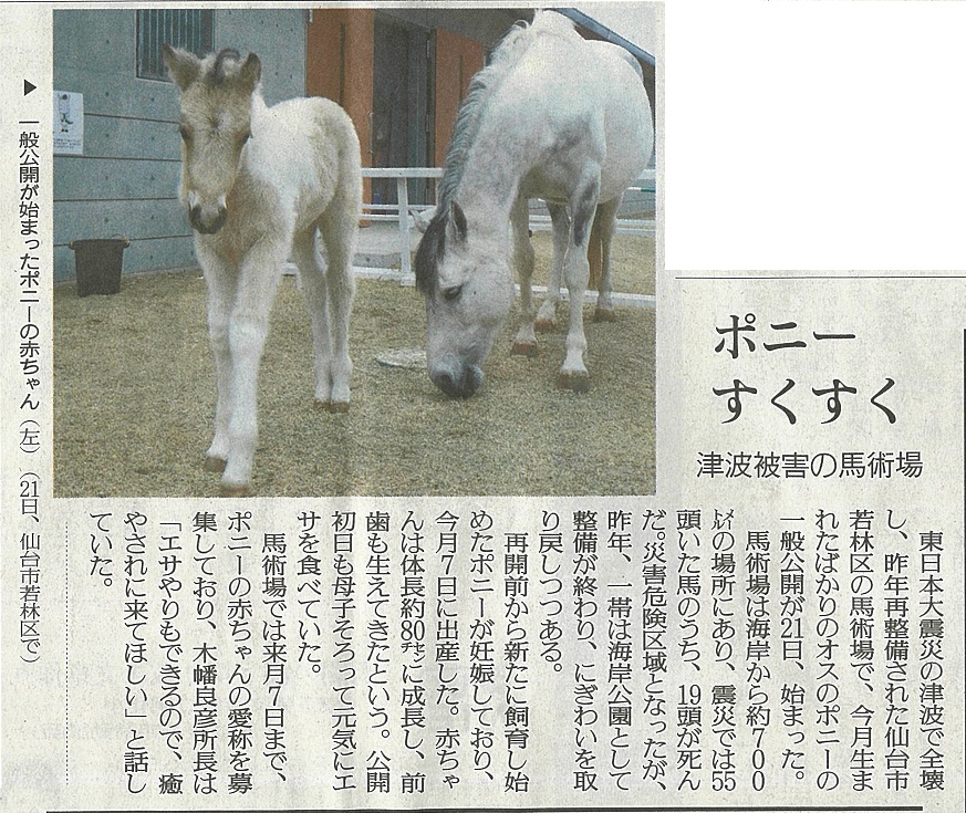 読売新聞（宮城版）に海岸公園馬術場で誕生した仔馬が掲載されました