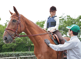 乗馬レッスン