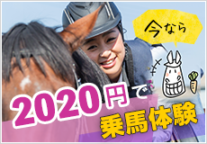 乗馬キャンペーン