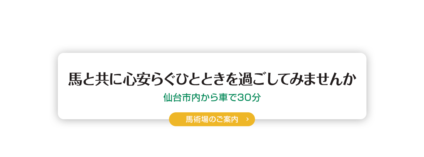 海岸公園馬術場 | 宮城県仙台市の乗馬レッスン・スクール・馬術競技場