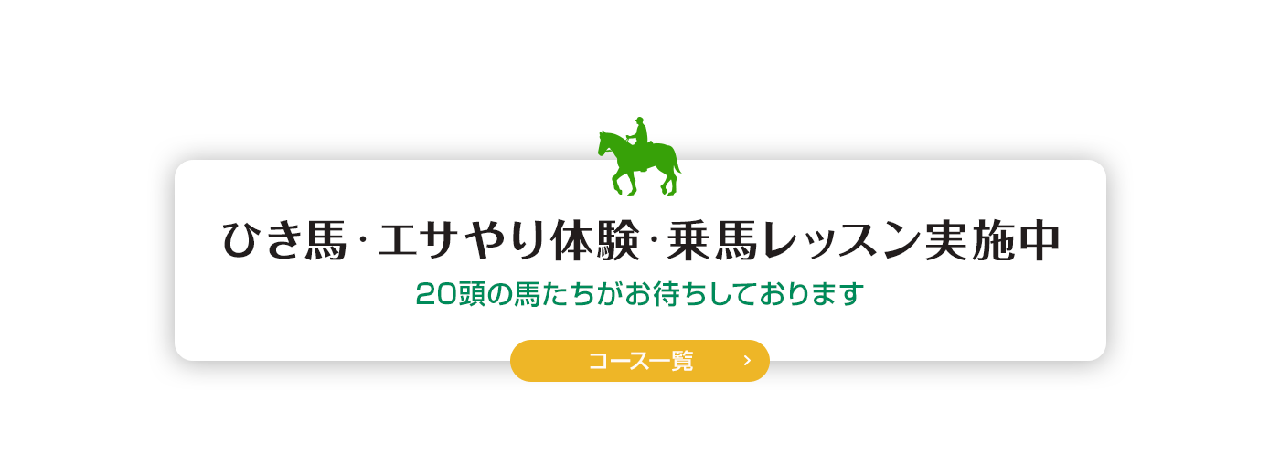 ひき馬・エサやり体験・乗馬レッスン実施中