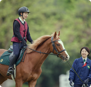 乗馬レッスン