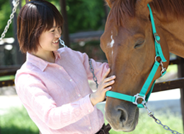 専用馬制度